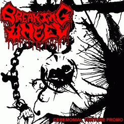 Breaking Wheel (USA-2) : Ceremonial Torture Promo